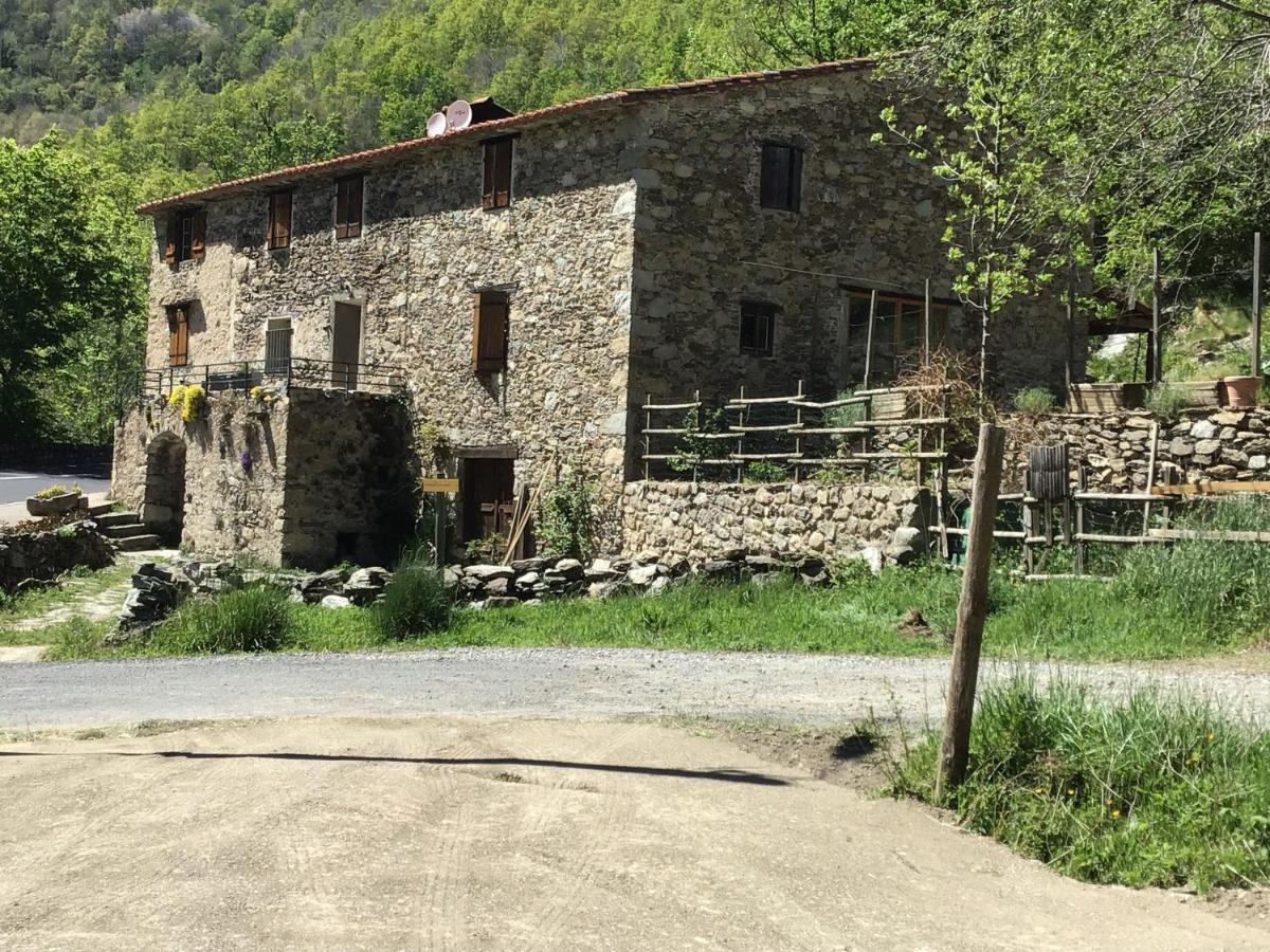 Ferienwohnung Mas Graffouil Prats-de-Mollo-la-Preste Exterior foto