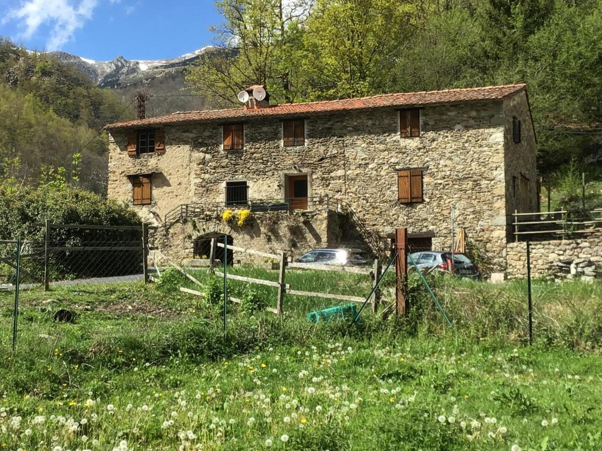 Ferienwohnung Mas Graffouil Prats-de-Mollo-la-Preste Exterior foto